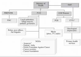 Organizational Chart Of The System Of Implementation And