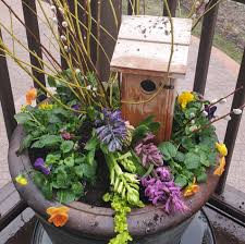 Carnations, daisies, irises, lilies, orchids, roses, sunflowers Johnson Sons Florist Home Facebook