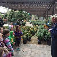 Las vegas' #1 nursery for best trees, plants & palms! Moon Valley Nurseries Central Las Vegas Garden Center