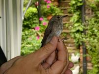 Annual Family Wildlife Day