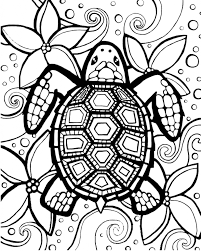 Continue to 5 of 14 below. Advanced Turtle Coloring Sheet