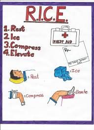 What Does Rice Stand For In First Aid First Aid For Free