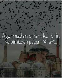 Mel Adli Kullanicinin Resim Panosundaki Pin Ozlu Sozler Guzel Soz Gercek Alintilar