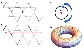 A l'aide d'un économe, retirer les fils des côtes de blettes. Quantum Spin Liquids Science