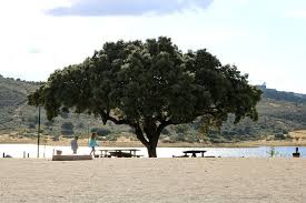 Check spelling or type a new query. Praia Fluvial De Monsaraz Praias Fluviais Praia Portugal Turismo