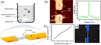 N.m.tiong & co, alor setar. Wafer Scale Fabrication Of Microelectrode Arrays On Optically Transparent Polymer Foils For The Integration Of Flexible Nanoscale Devices Iopscience