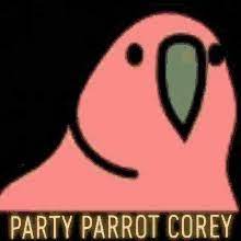 Share the best gifs now >>>. Party Parrot Gifs Tenor