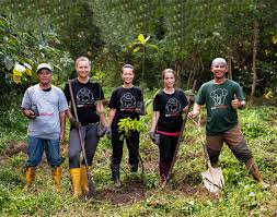 It is essentially a multidisciplinary approach that brings about an appreciation of our natural world and. Connecting Everyday People With Endangered Animals Ape Malaysia