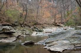 For A Long Time Says Amanda Hallauer A Watershed Manager In Atlanta S Department Of Watershe Watershed Management Environmental Justice Environmental Problem