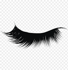 Vector stylish wallpaper home living room sofa. Transparent Download Eyelashes Clipart Png Eyelash Png Image With Transparent Background Toppng