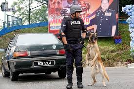 Demi kedaulatan negara dan kesejahteraan masyarakat dan kewibawaan pasukan, kewajipan asasi anggota polis diraja malaysia adalah There S Now A K 9 Memorial To Honour Police Good Boys Skop Rojak Daily