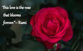I just love flowers famous quotes & sayings: How Some Flower Quotes Express Love Life Lush Happiness And Reality
