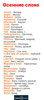слова которые нужно знать чтобы свободно говорить на английском Anglijskie Slova Po Teme Osen English Vocabulary Autumn Anglijskij Osen Anglijskij Izuchenie Anglijskogo Anglijskaya Grammatika