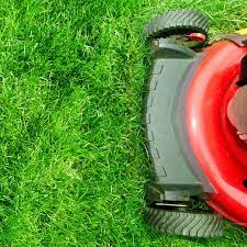 Cut no more than 1/3 of the blade of grass. First Lawn Cut Of The Year When Is The Right Time Green Lawn Fertilizing