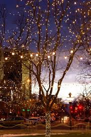 Fort Collins Downtown Lights Christmas House Lights Colorado Christmas Fort Collins Colorado
