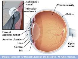 المياه الزرقاء الجلوكوما الزرق الماء الأزرق Glaucoma طبيب دوت كوم