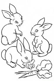 Baby Rabbit Coloring Pages Bunny Coloring Pages Farm Animal Coloring Pages Animal Coloring Books