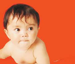 237 cover BIOLOGI 12