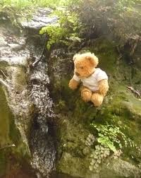 Misiu At Waterfall Our Lovely Teddy Bear Misiuourteddybear Niedliche Baren Bar Niedlich