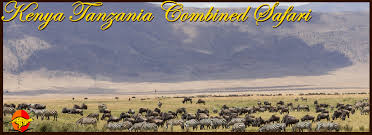 For short safaris, nairobi safari park in kenya is a visitors haven. Kenya Tanzania Safari Ngorongoro Crater Safari Holidays