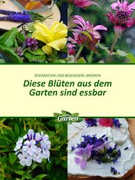 Einen erdkeller im garten anlegen. Mdr Garten é¦–é¡µ Facebook