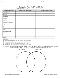 Teacher's cell parts answer guide. Plant Worksheet