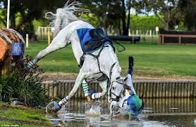 The cross country test is really what sets eventing apart, as far as an equine sport. Tarryn Proctor The Australian Equestrian Jumper Breaks Ribs In Fall In Melbourne Daily Mail Online