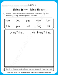 living and non living things worksheet 3 your home teacher