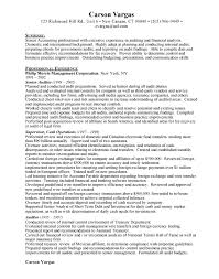senior auditor free resumes