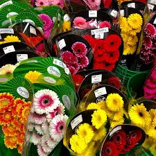 Send flowers to chicago from anywhere in the world! Chicago S Wholesale Florist Home Facebook