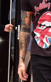 A silver fern on his neck. Zayn Malik 60 Tattoos Pictures And Meanings Behind His Ink