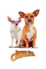 A pampered beverly hills chihuahua named chloe who, while on vacation in mexico with her owner viv's niece, rachel, gets lost and must rely on her friends to help her get back home before she is caught by a dognapper who wants to ransom her. Beverly Hills Chihuahua 2008 Filmfed Movies Ratings Reviews And Trailers