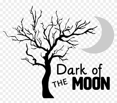 ✓ free for commercial use ✓ high quality images. Tree Without Leaves Drawing Png Download Transparent Png 2241x1860 2165506 Pngfind