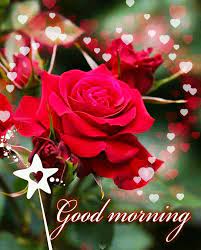 Sections show more follow today © 2021 nbc universal Good Morning Images For Whatsapp Whatsapp Goodmorning 720x896 Download Hd Wallpaper Wallpapertip