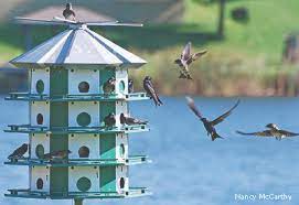 Pin On Gardening For Wildlife