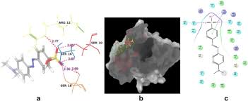 In Vitro And In Silico Studies On The Removal Of Methyl Orange From Aqueous Solution Using Oedogonium Subplagiostomum Ap1 Springerlink