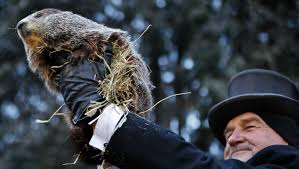 According to information compiled by the national centers for environmental phil will be making his live annual prognostication, but it has been determined that there will not be anyone in attendance or guests on the grounds as the potential. Did Groundhog See Shadow 2019 Punxsutawney Phil S Prediction Revealed Hollywood Life
