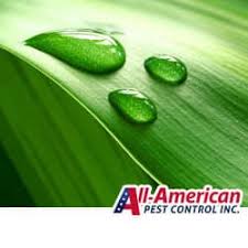 This may sound like a really simple solution; Does Natural Pest Control Work