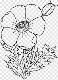 This purchase is a single image file. Poppy Drawing Illustration Image Flower Remembrance Day Transparent Png