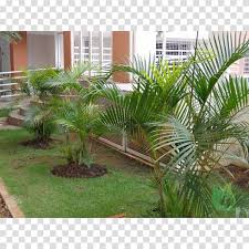 Rafia Transparent Background Png Cliparts Free Download Hiclipart We provide millions of free to download high definition png images. hiclipart