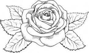 Dibujos Flores Para Colorear E Imprimir Rose Tattoos For Men Roses Drawing Flower Drawing
