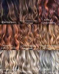 Autumnhair Reposting Saloncentric Sleigh Me In 2020 Hair Color Names Tone Hair Which Hair Colour