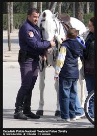 Policía nacional dominicana palacio de la policía nacional (sede central) avenida leopoldo navarro no. Caballeria Policia Nacional Pferde Mensch