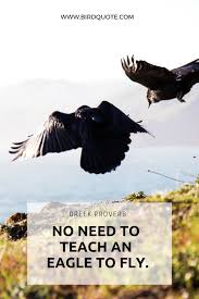 Proverb Birds Of A Feather Flock Together Quotes Eagle Quotes Bird Quotes Eagles Quotes Eagle