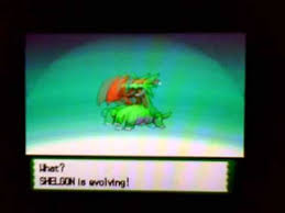 shiny bagon evolves into shelgon then salamence youtube