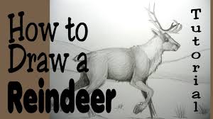 Check spelling or type a new query. How To Draw A Reindeer Youtube