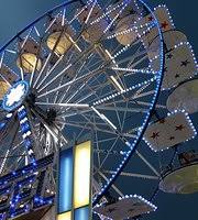 Your pet will see the veterinarian who will conduct a nose to tail exam then call you with the findings of the exam and suggested treatment. Luna Park Adriatico Bibione 2021 All You Need To Know Before You Go With Photos Tripadvisor