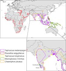 Zoonotic diseases, or diseases which have the capability to jump species, animals to humans or vice versa, have been particularly troublesome and deadly. Prioritizing Surveillance Of Nipah Virus In India