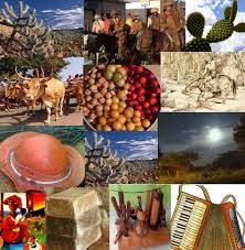 A curiosidade do brasileiro pelo que há lá fora é algo fácil de entender: Sertao Brasileiro Economia E Cultura Do Sertao Do Nordeste Brasileiro Geografia Total