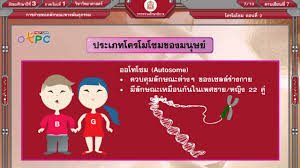 Most eukaryotic chromosomes include packaging proteins called histones which, aided by chaperone proteins, bind to and condense the dna molecule to maintain its integrity. à¹‚à¸„à¸£à¹‚à¸¡à¹‚à¸‹à¸¡ à¸•à¸­à¸™à¸— 2 à¸ª à¸­à¸à¸²à¸£à¹€à¸£ à¸¢à¸™à¸à¸²à¸£à¸ªà¸­à¸™ à¸§ à¸—à¸¢à¸²à¸¨à¸²à¸ªà¸•à¸£ à¸¡ 3 Youtube